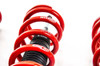 MTS Technik Coilovers (Street, Inox) for BMW 5 (E60)