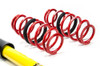 MTS Technik Coilovers (Street, Gold) for Ford FIESTA VII (HJ/HF)