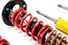 MTS Technik Coilovers (Stance, Gold) for BMW 5 Touring (E39)