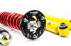 MTS Technik Coilovers (Stance, Gold) for BMW 5 Touring (E39)