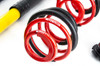 MTS Technik Coilovers (Street, Gold) for Opel KADETT D (31)