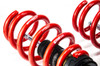MTS Technik Coilovers (Street, Gold) for Tesla MODEL 3 (5YJ3) / MODEL Y (5YJY)
