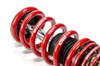 MTS Technik Coilovers (Stance, Gold) for Toyota GR 86 coupe (ZN8) / GT 86 Coupe (ZN6)