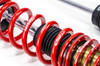 MTS Technik Coilovers (Street, Gold) for Honda CIVIC IX Sedan (FB) / CIVIC IX (FK)