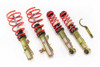 MTS Technik Coilovers (Street, Gold) for Mini MINI (R50/R53)