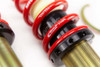 MTS Technik Coilovers (Street, Gold) for Mini MINI (R50/R53)