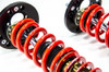 MTS Technik Coilovers (Stance, Gold) for BMW 5 (E60) / 5 Touring (E61)