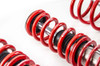 MTS Technik Coilovers (Stance, Inox) for BMW 5 (E39)