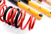 MTS Technik Coilovers (Street, Gold) for Ford USA MUSTANG 5 Coupe