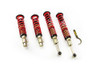MTS Technik Coilovers (Street, Gold) for Honda ACCORD VII (CL/CN)