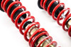 MTS Technik Coilovers (Street, Gold) for Honda ACCORD VII (CL/CN)