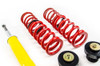 MTS Technik Coilovers (Stance, Inox) for BMW 5 Touring (E39)