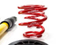MTS Technik Coilovers (Stance, Inox) for Audi TT (8N) / Volkswagen GOLF IV (1J1)