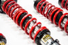 MTS Technik Coilovers (Stance, Inox) for BMW 6 (E24)