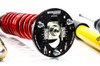 MTS Technik Coilovers (Stance, Gold) for BMW Z4 Roadster (E85) / Z4 Coupe (E86)
