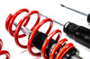 MTS Technik Coilovers (Street, Inox) for Renault CLIO IV (BH)