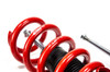 MTS Technik Coilovers (Street, Gold) for Audi A4 B7 (8E) / A4 B6 (8E)