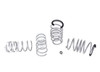 Whiteline Coil Springs - Lowered