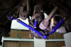 Hardrace Rear Traction Rod Lexus GS, SC, Toyota Soarer, Supra