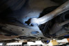Hardrace Front Tension Rod Bushing Infiniti G series, Nissan Skyline, Z-series