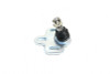 Hardrace Front Lower Ball Joint Honda CR-V
