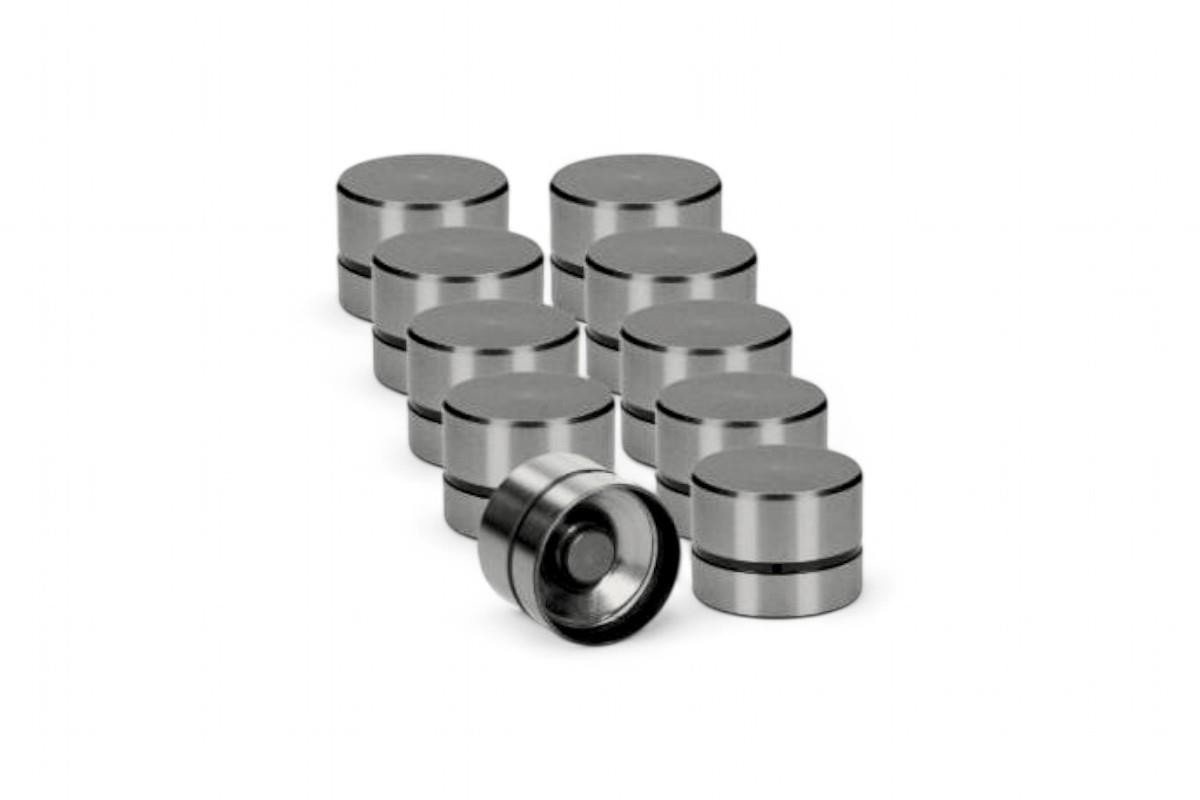 INA Black Top Camshaft Lifters / Followers for VW 1.9 & 2.0 8v TDI PD Engines INA Black Top Camshaft Lifters / Followers for VW 1.9 & 2.0 8v TDI PD Engines