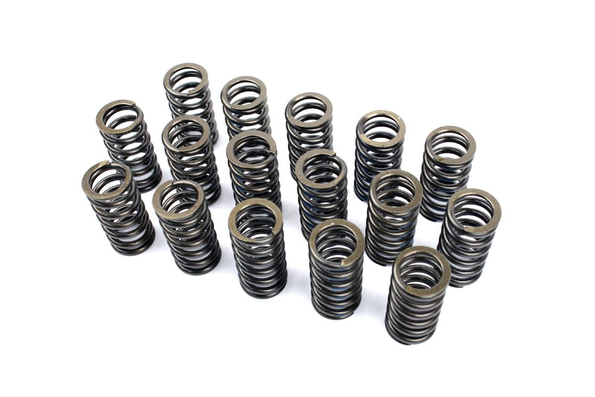 Upgraded Valve Springs for 2.0 16v TDI PD and PPD Engines