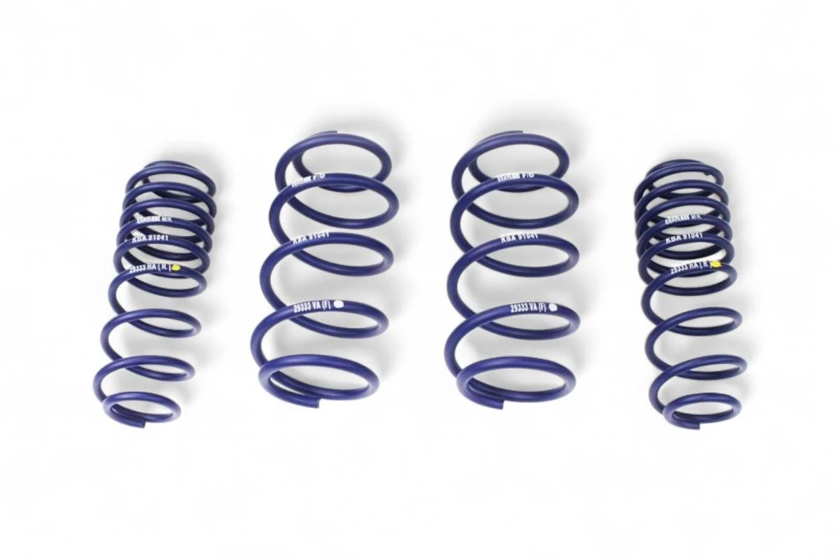 H&R Lowering Springs for BMW 1 Series E8X / 3 Series E9X (60mm) H&R Lowering Springs for BMW 1 Series E8X / 3 Series E9X (60mm)