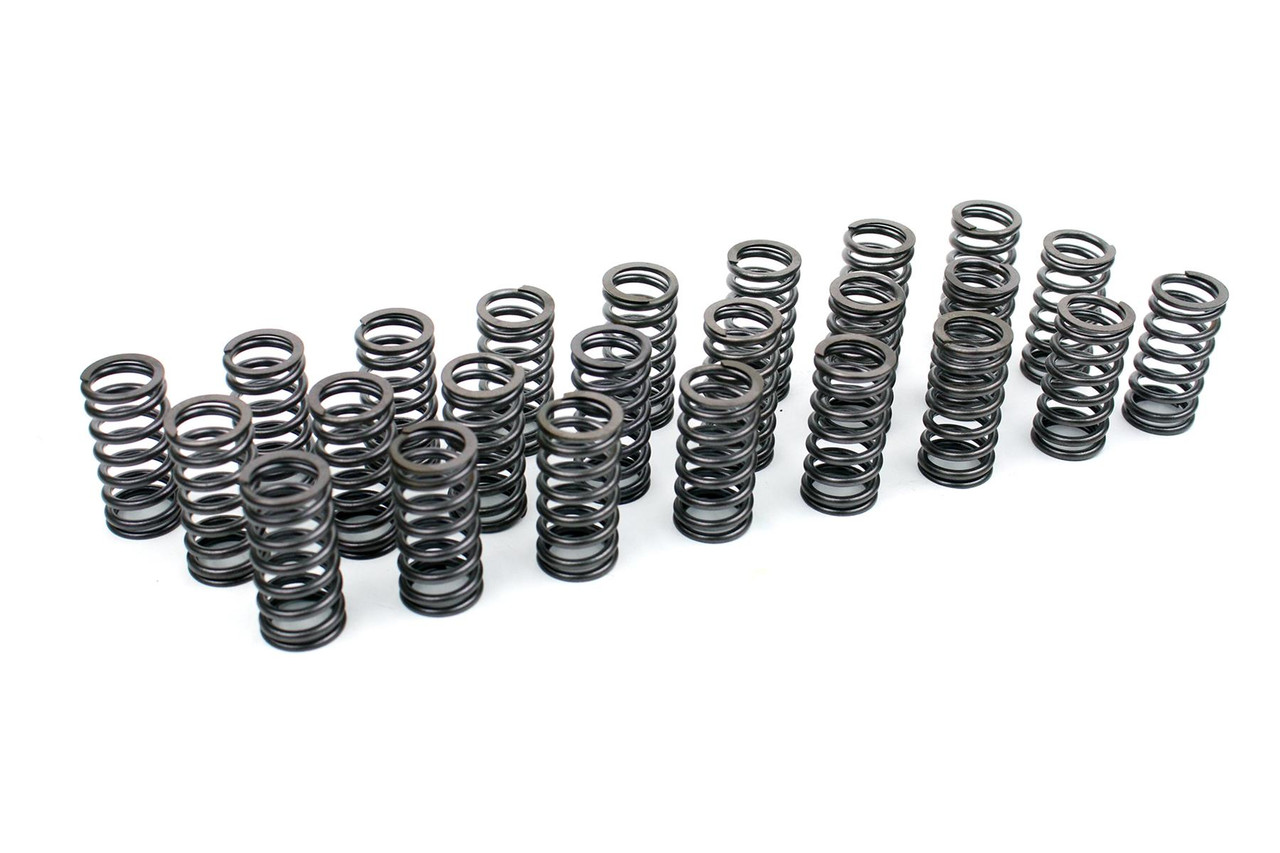 Performance Valve Spring Upgrade Set for BMW M57 24v 3.0 Diesel Performance Valve Spring Upgrade Set for BMW M57 24v 3.0 Diesel