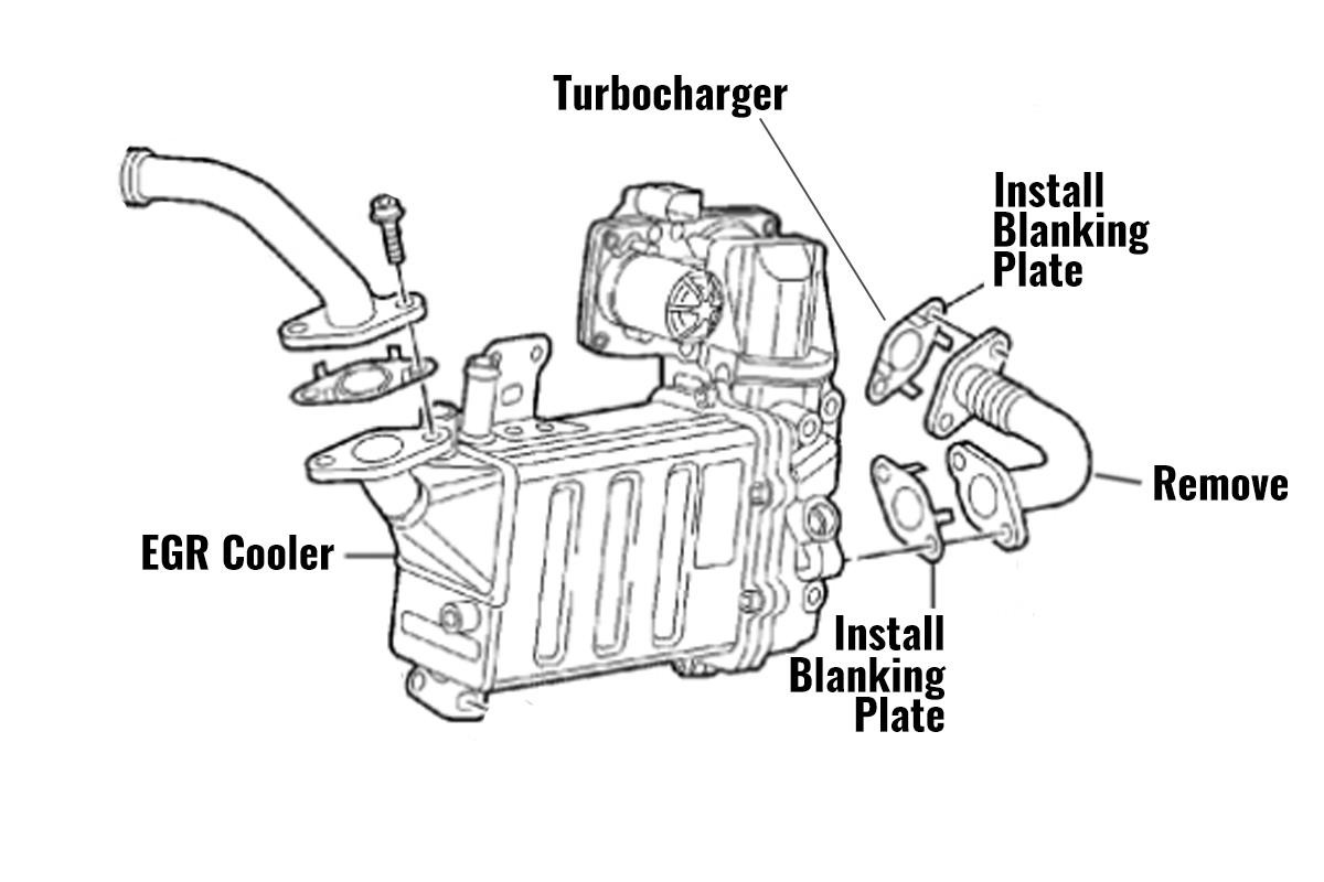 VW Transporter T6 2.0 CR150 / CR204 CXE / CXG / CXH / CXF EGR Delete Blanking Kit