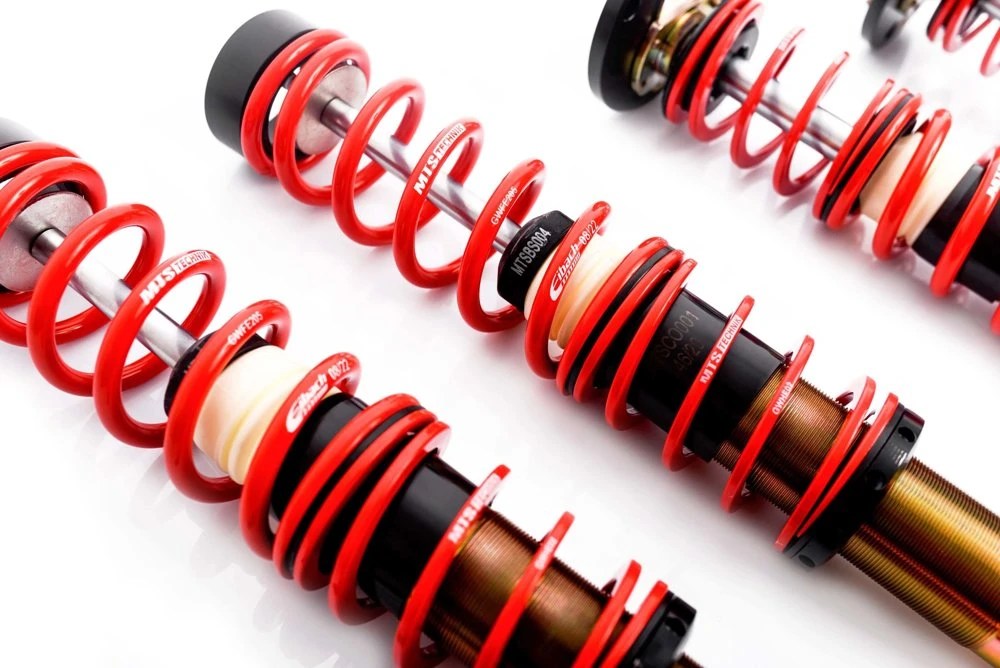 MTS Technik Coilovers (Street, Gold) for BMW 5 (E12)