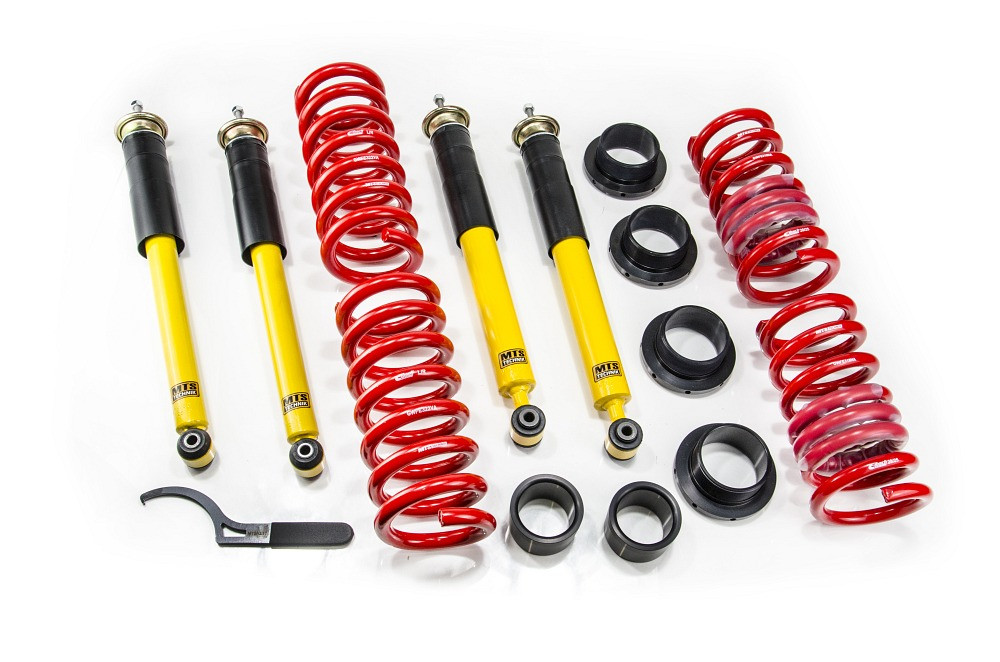 MTS Technik Coilovers (Street, Gold) for Mercedes-Benz S-CLASS (W140)