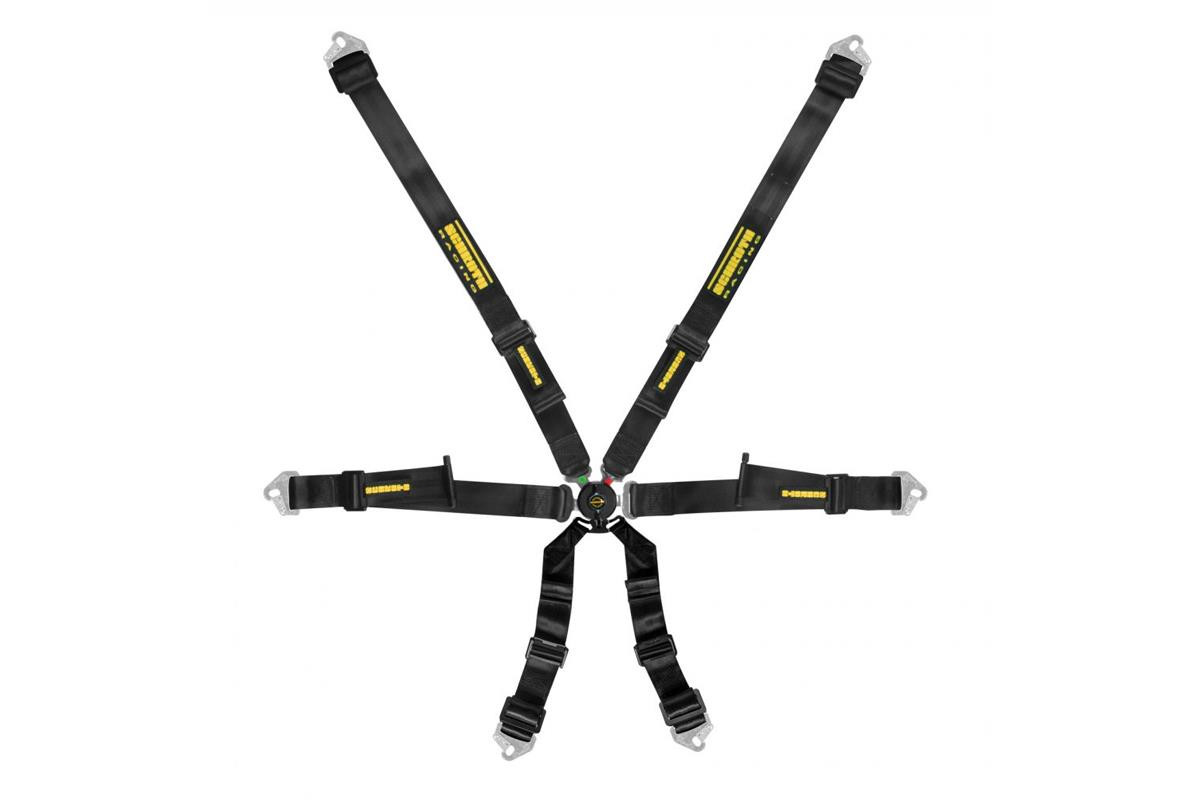Schroth Profi 2x2 6 Point Harness