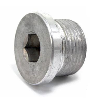 VAG Gearbox Sump Plug M22 x 1.5 - N10037105
