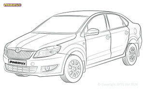 Rapid - NH & NA - 2011-