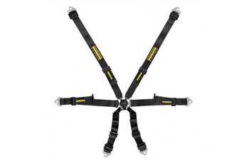 Schroth Profi 2x2 6 Point Harness
