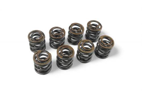 Performance High Lift Valve Spring Set for VAG 1.9 8v PD TDI