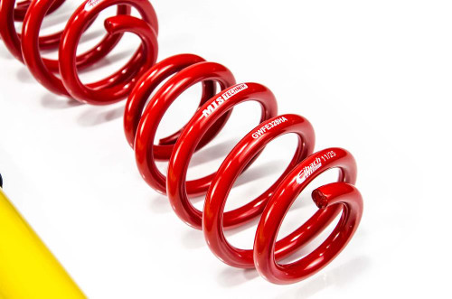 MTS Technik Coilovers (Street) for BMW F40 1 Series & F44/F45 2 Series & F48 X1 MTS Technik Coilovers (Street) for BMW F40 1 Series & F44/F45 2 Series & F48 X1