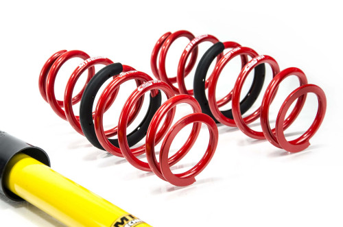 MTS Technik Coilovers (Street, Gold) for Ford FIESTA VII (HJ/HF)