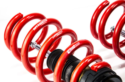 MTS Technik Coilovers (Street, Gold) for Tesla MODEL 3 (5YJ3) / MODEL Y (5YJY)