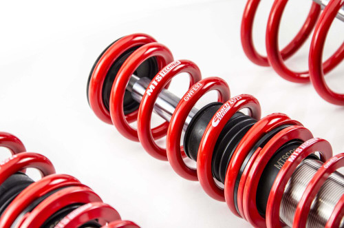 MTS Technik Coilovers (Street, Inox) for BMW 5 (E39)