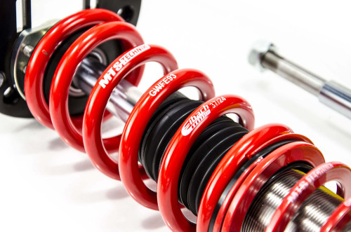 MTS Technik Coilovers (Street, Inox) for BMW 5 Touring (E39)
