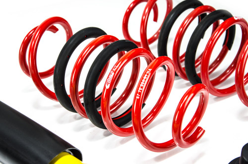 MTS Technik Coilovers (Street, Inox) for Ford USA MUSTANG 5 Coupe