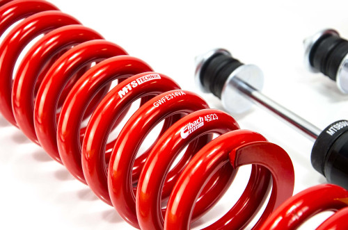 MTS Technik Coilovers (Street, Gold) for Mercedes-Benz S-CLASS (W126)