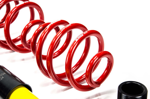 MTS Technik Coilovers (Street, Gold) for BMW Z4 Roadster (E85) / Z4 Coupe (E86)