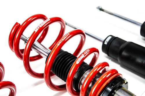 MTS Technik Coilovers (Street, Inox) for Renault CLIO IV (BH)