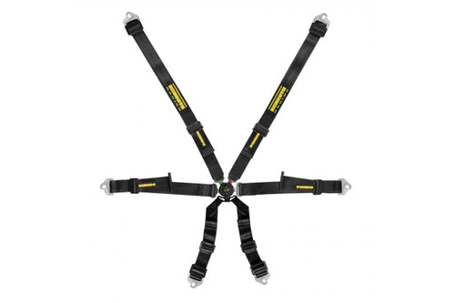 Schroth Profi 2x2 6 Point Harness