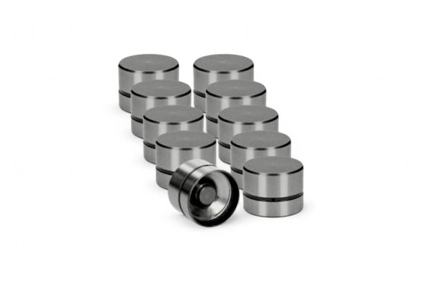 INA Black Top Camshaft Lifters / Followers for VW 1.9 & 2.0 8v TDI PD Engines