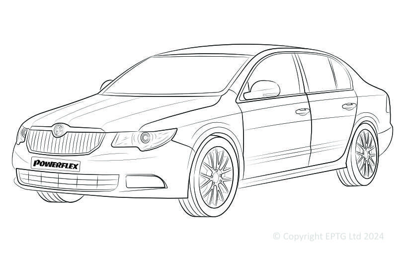 Superb B6 - 2009-2010