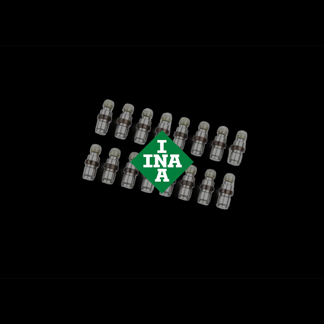 INA